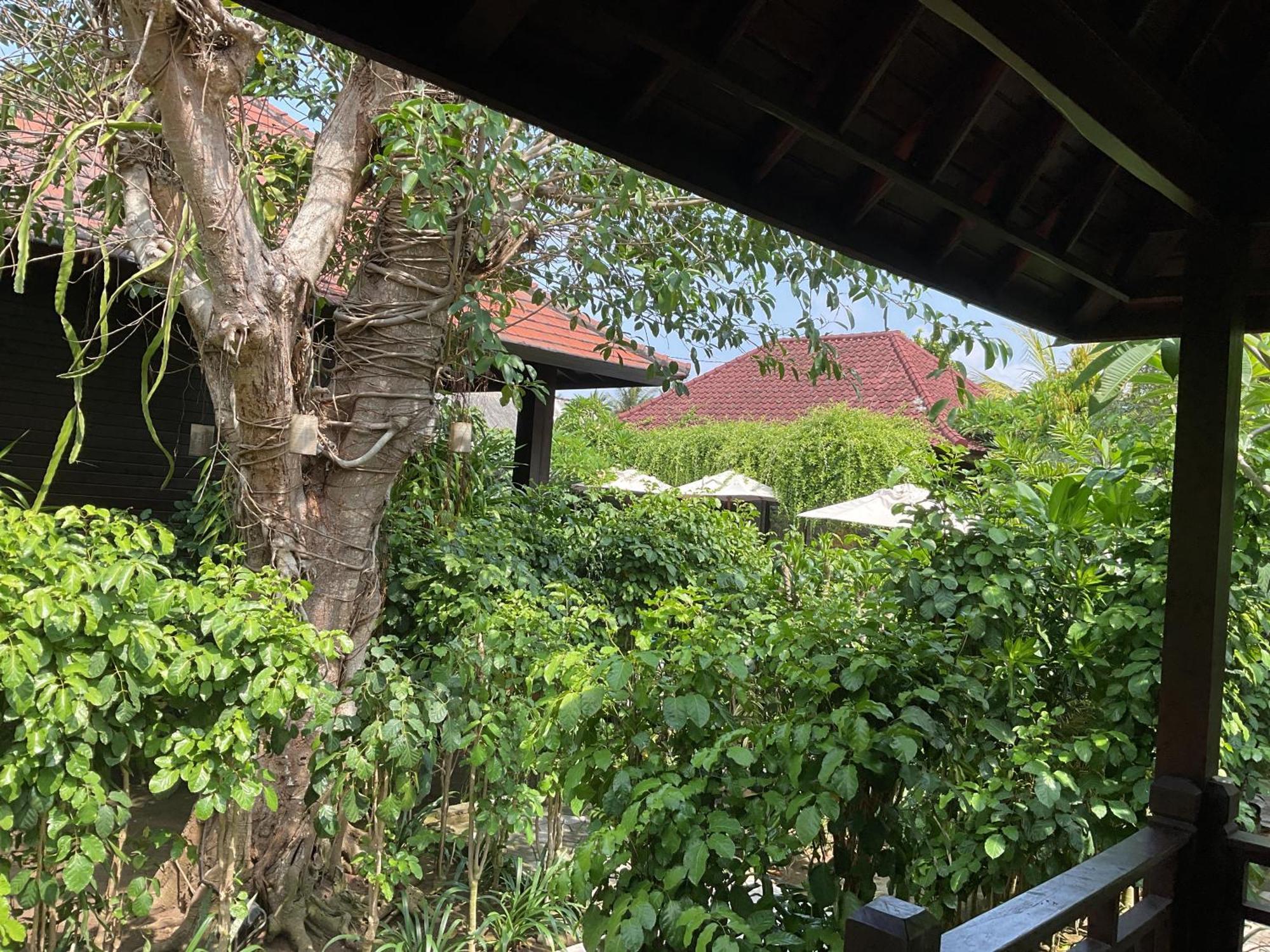 Bunutbali Villas88 Nusa Lembongan  Ngoại thất bức ảnh